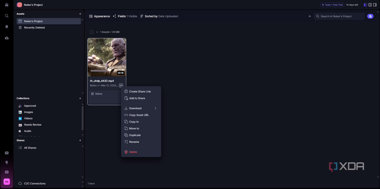 Frame IO project options