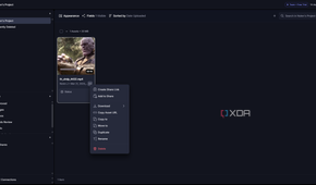Frame IO project options