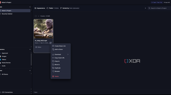 Frame IO project options