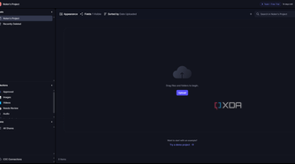 Frame IO project window
