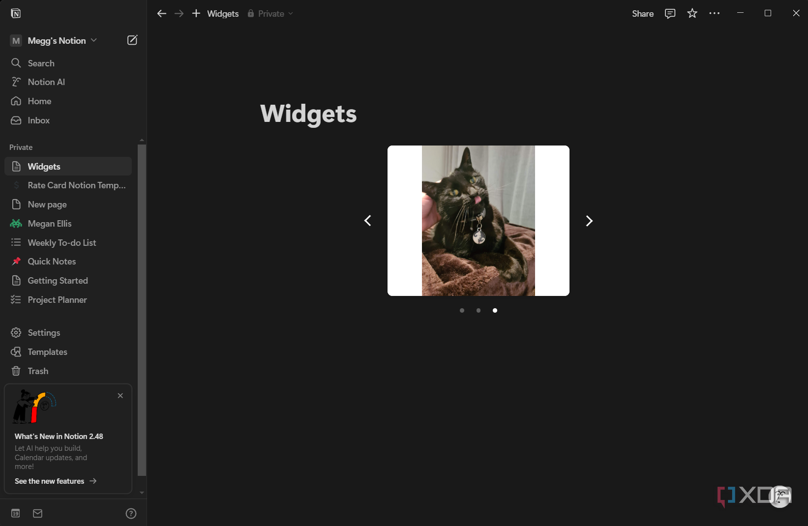image gallery widget in notion