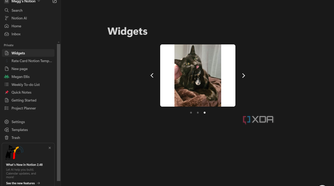 image gallery widget in notion