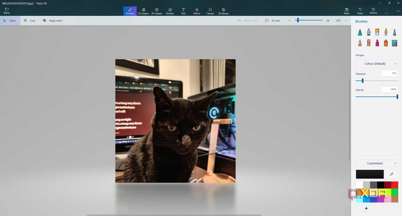 image of cat in paint 3d