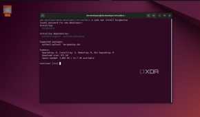 screenshot of linux terminal installing borgbackup