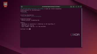 screenshot of linux terminal installing borgbackup