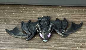 layer height bat