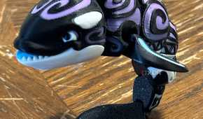 layer height orca