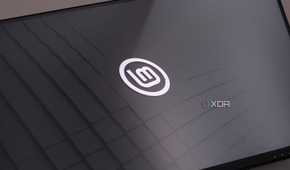 Linux Mint 22.1