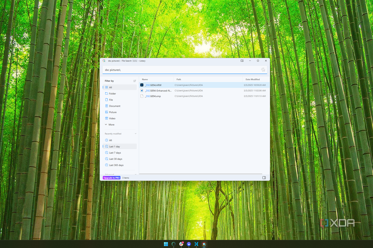 Screenshot of a file search for the term "DSC" filtered for a specific folder and files modified in the last day