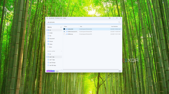 Screenshot of a file search for the term "DSC" filtered for a specific folder and files modified in the last day