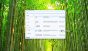 Screenshot of a file search for the term "XDA"