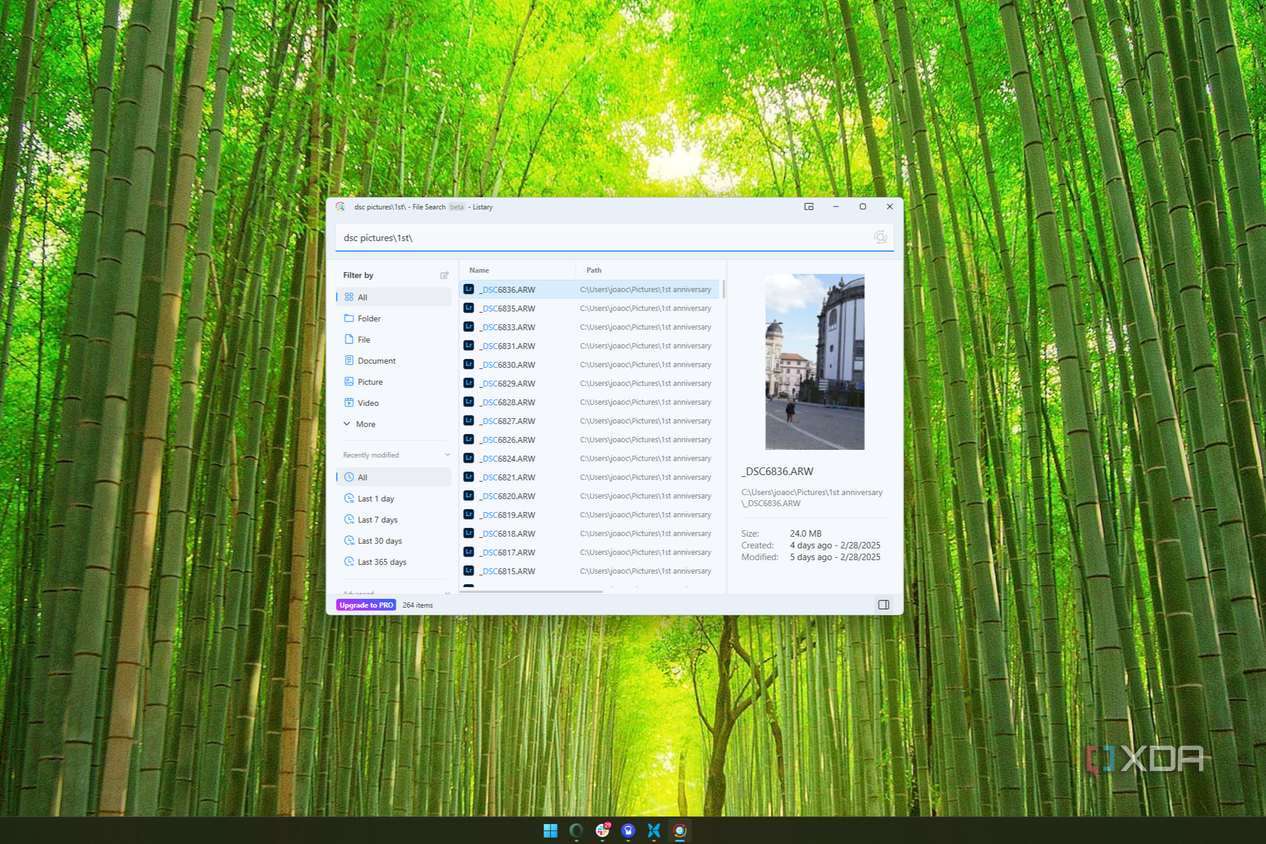 Screenshot of a file search for the term "DSC" filtered to a specific folder