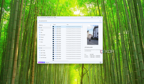 Screenshot of a file search for the term "DSC" filtered to a specific folder