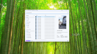 Screenshot of a file search for the term "DSC" filtered to a specific folder