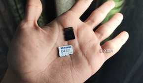 A person holding two microSD cards
