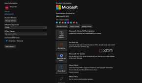 microsoft 365 account information in word