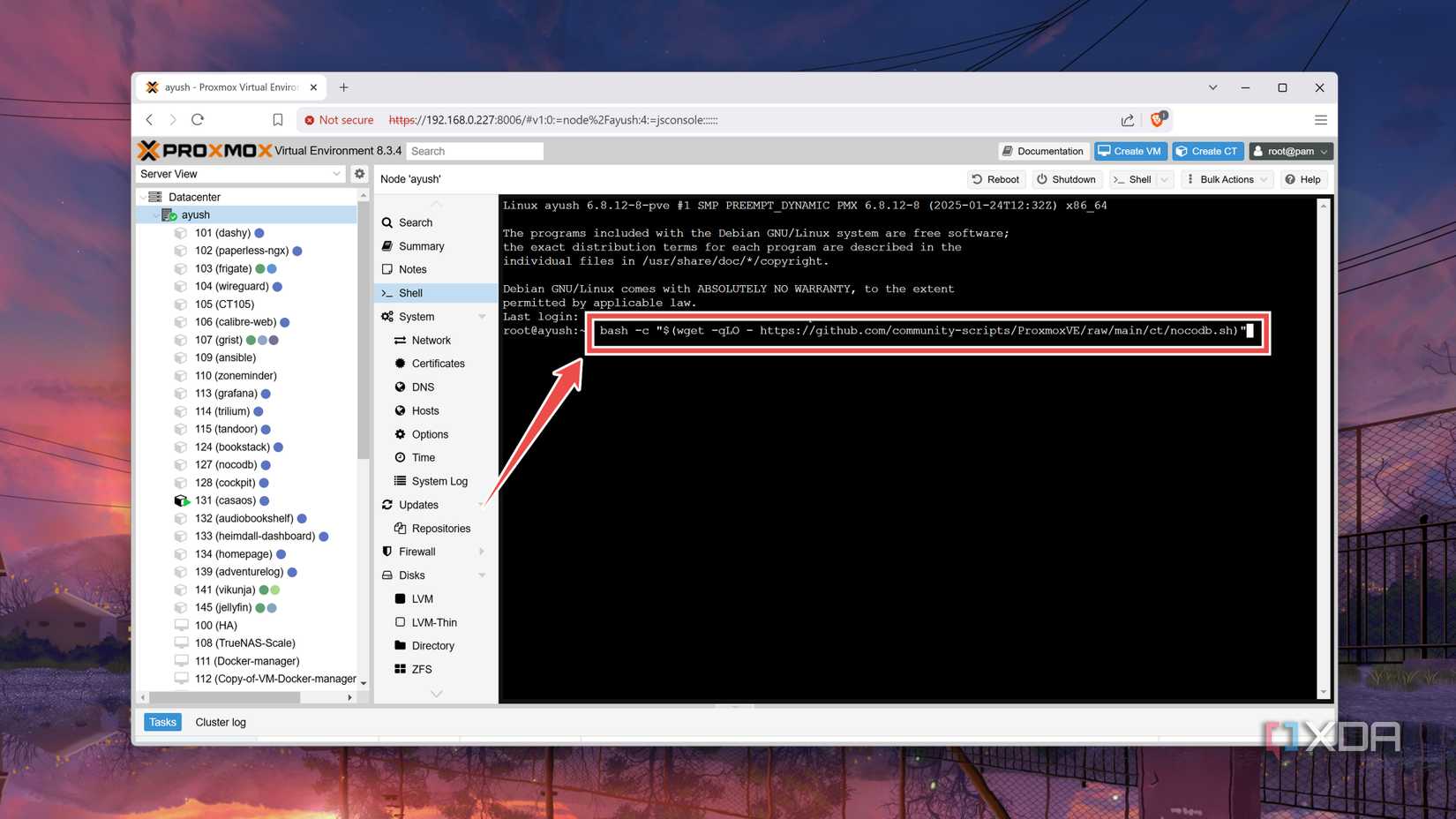 Entering the command to create a NocoDB container