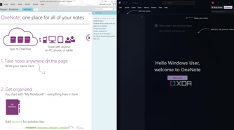 onenote 2013 next to onenote 365