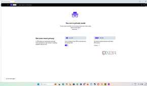 Opera-private-window