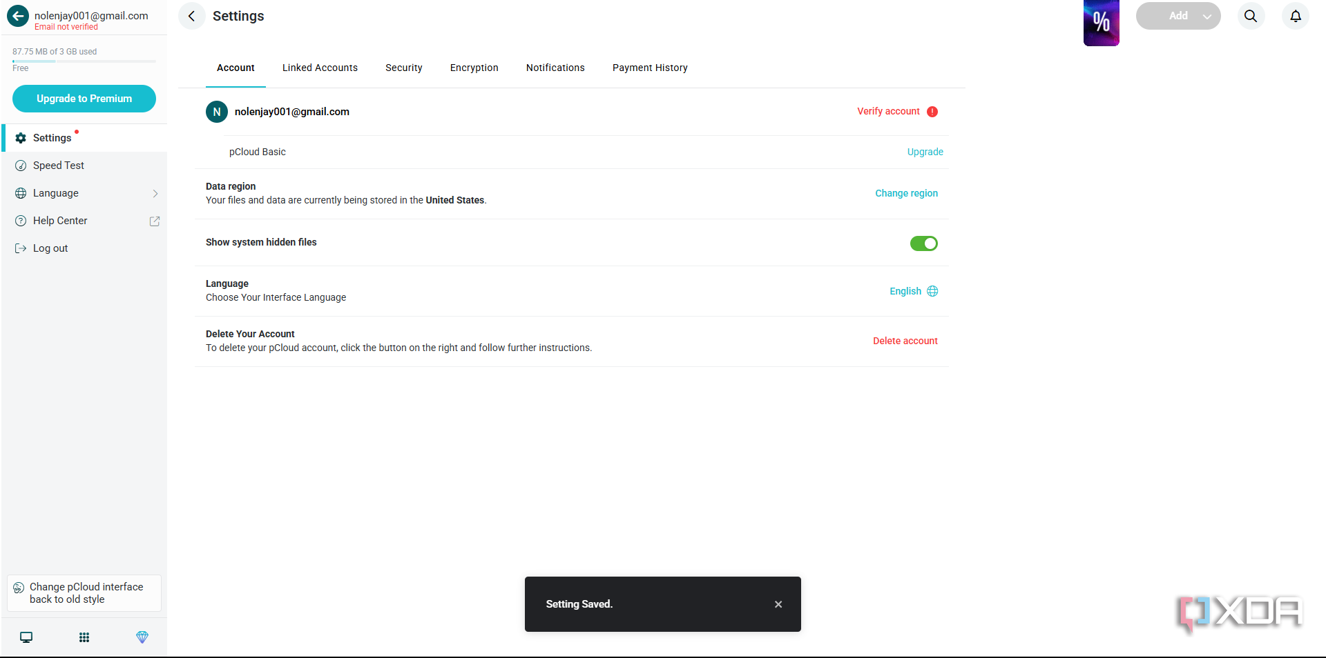 pCloud account options