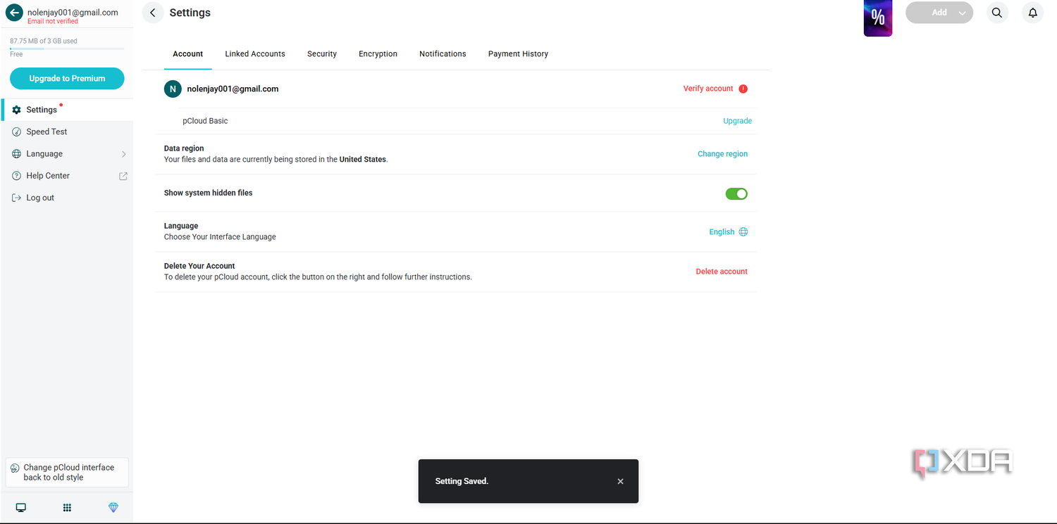 pCloud account options