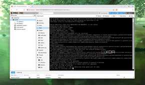 Installing a Samba server on Proxmox