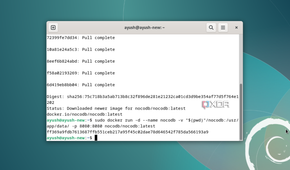 Docker pull command from Promox