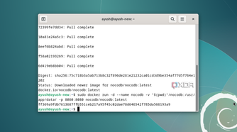 Docker pull command from Promox
