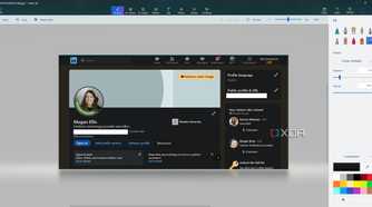 removing information from screenshot in paint 3d