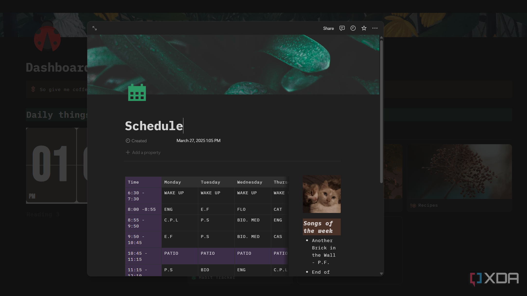schedule template in notion
