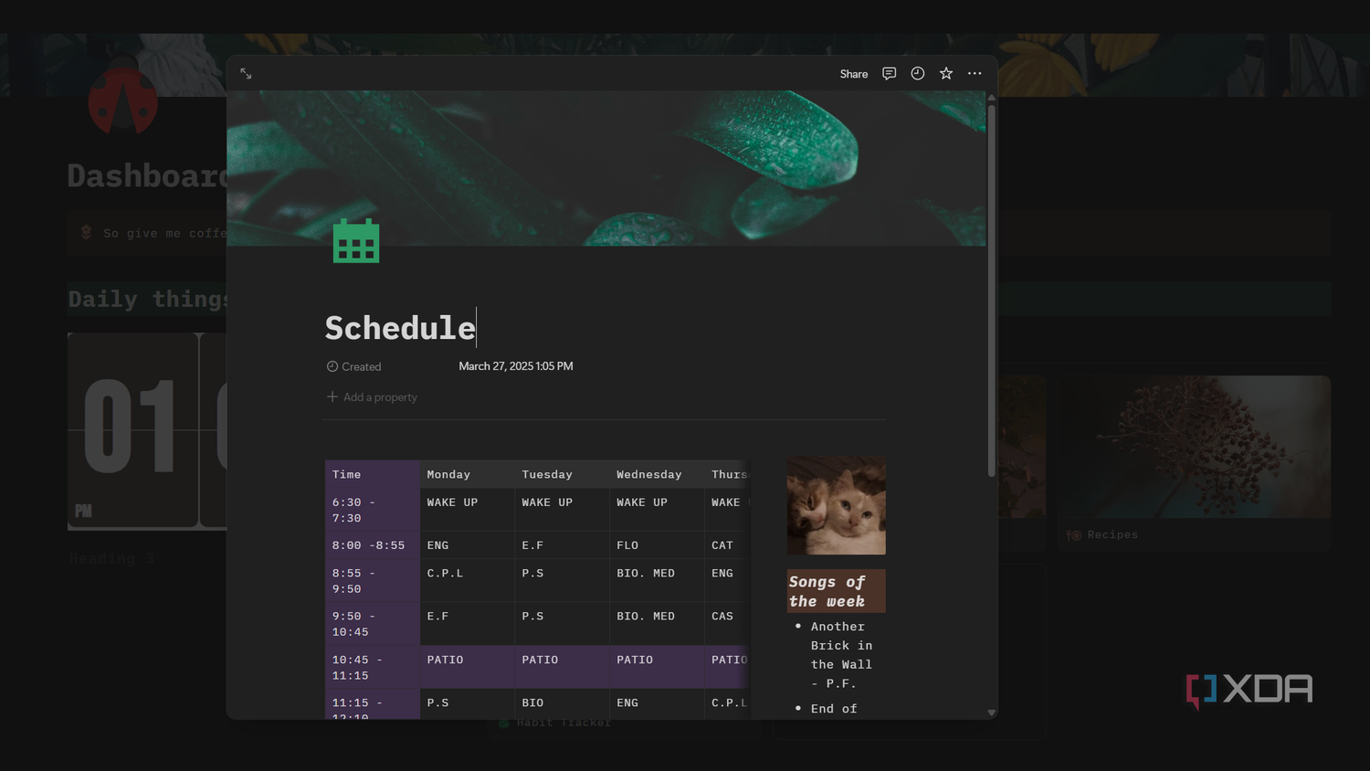 schedule template in notion