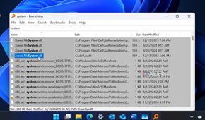 screenshot shows Everything shows system files for search