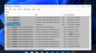 screenshot shows Everything shows system files for search