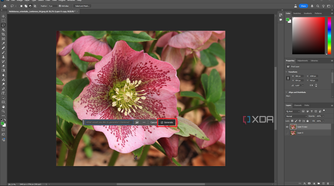 Selecting Generative Fill in Photoshop, pink flower in editing window