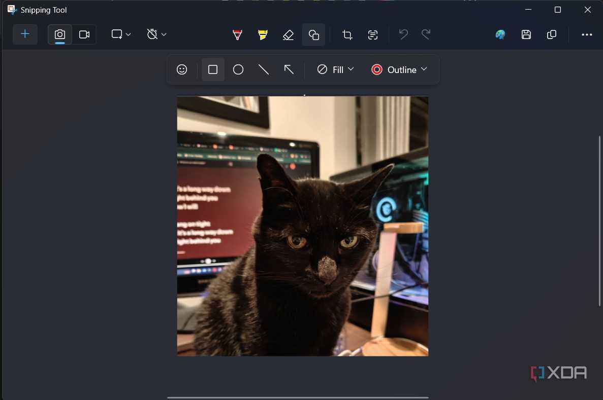 shape options in snipping tool
