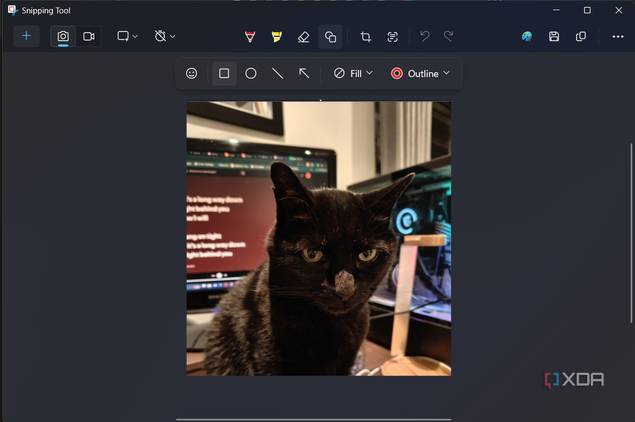 shape options in snipping tool