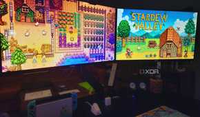 Stardew Valley playing on Computer Monitors in office