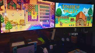 Stardew Valley playing on Computer Monitors in office