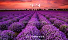 start page in meavana