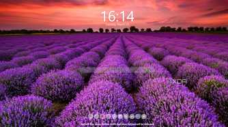 start page in meavana