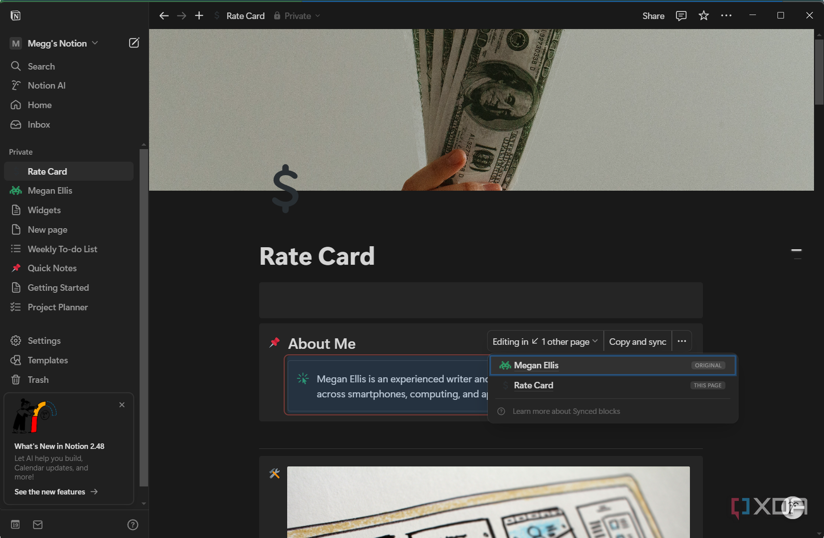 synced block showing places on other notion pages