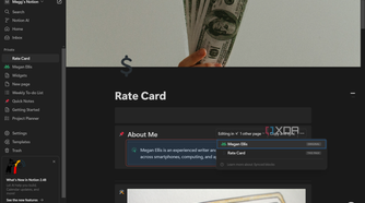 synced block showing places on other notion pages