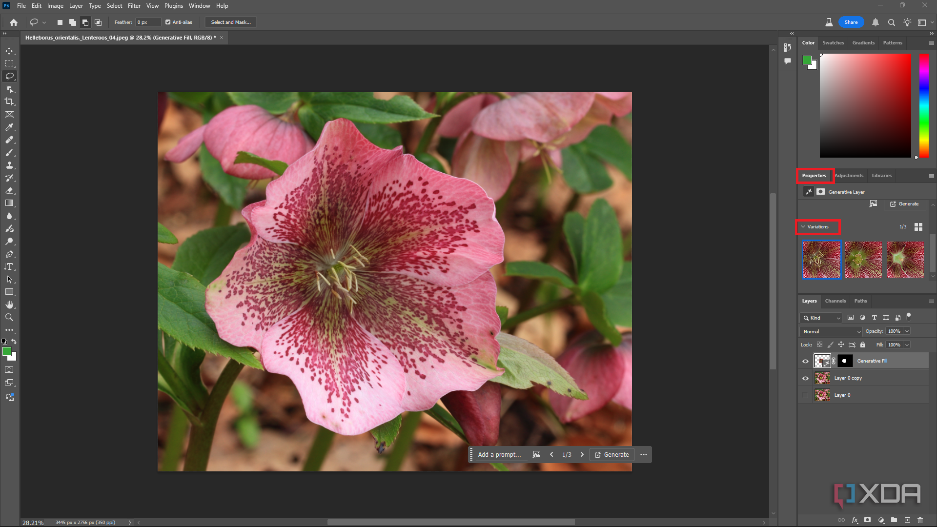 Viewing Generative Fill results in Photoshop, pink flower in editing window