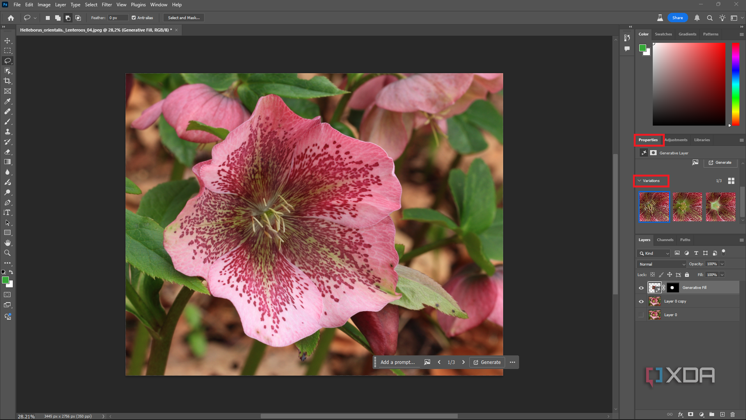 Viewing Generative Fill results in Photoshop, pink flower in editing window