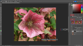 Viewing Generative Fill results in Photoshop, pink flower in editing window