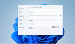 Screenshot of the advanced app settings page in the Windows 11 Settings app