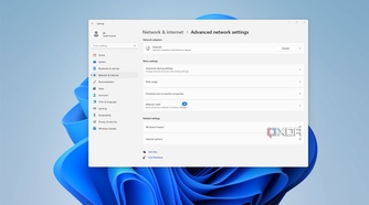 Screenshot of the advanced app settings page in the Windows 11 Settings app