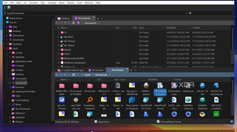 Shows XYplorer dual-pane view on Windows 11 PC