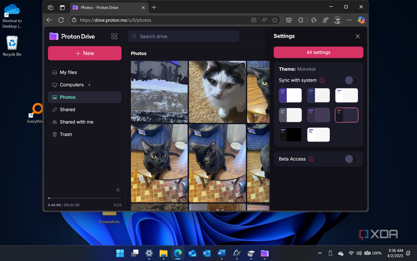 shows synced photos in proton drive web version