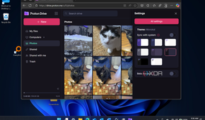 shows synced photos in proton drive web version